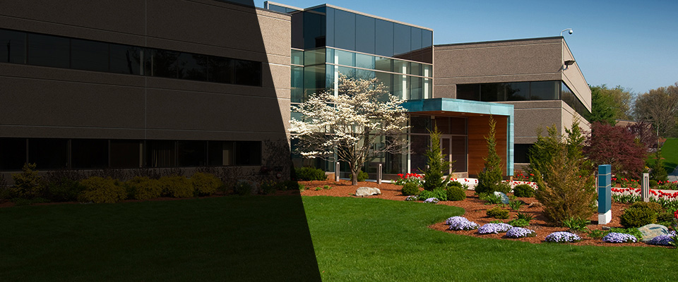 Stevensville Landscapers