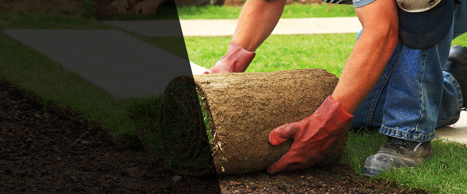 Stevensville Landscapers